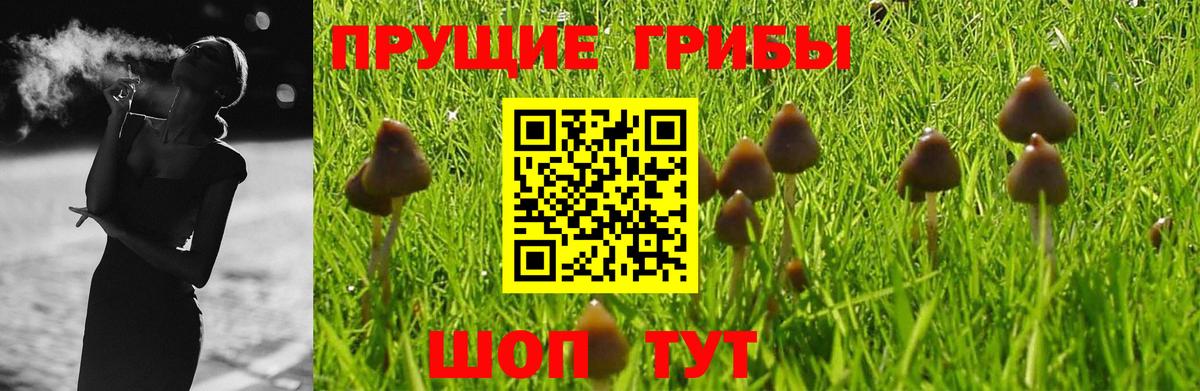 Учалы  купить  цена  Вход с VPN  Галлюциногенные грибы MAGIC MUSHROOMS  Псилоцибиновые грибы мухоморы 